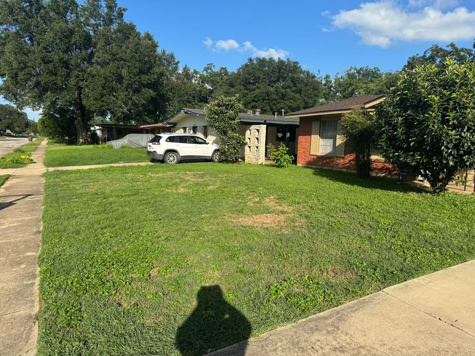 Manicured front yard and crisp lawn edges along the driveway
