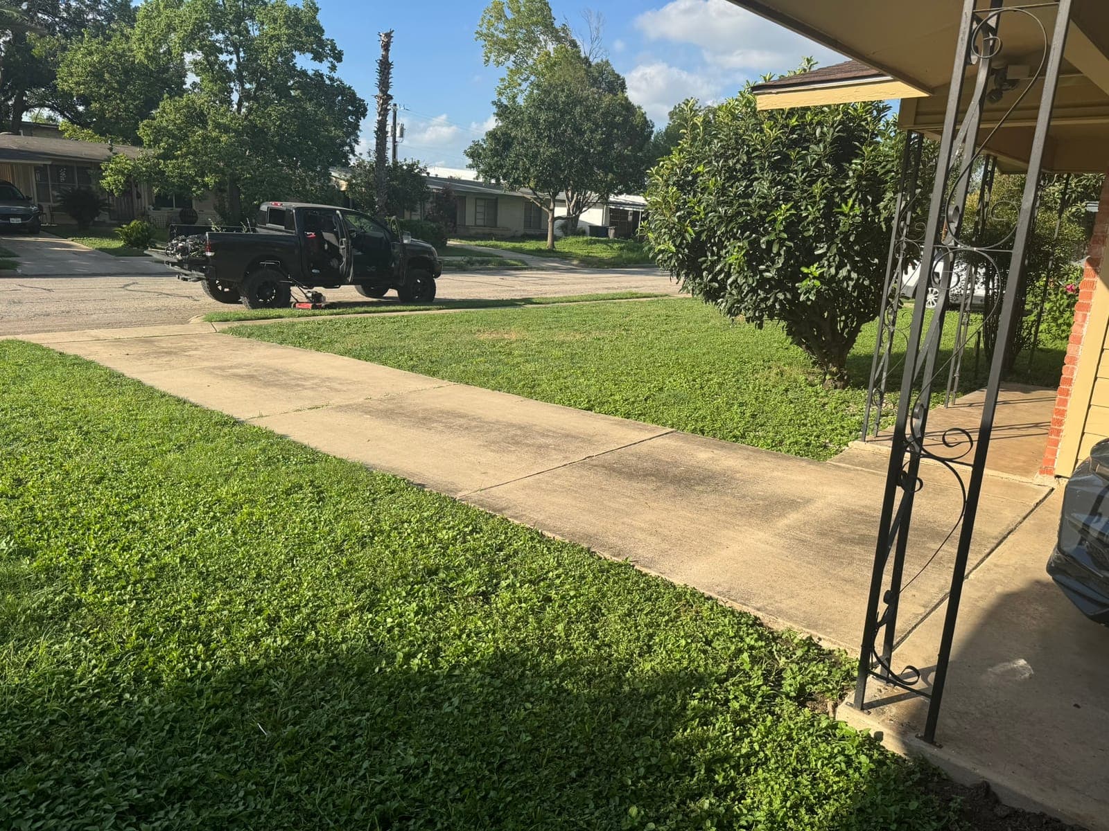 Trimmed lawn and tidy edging beside the driveway