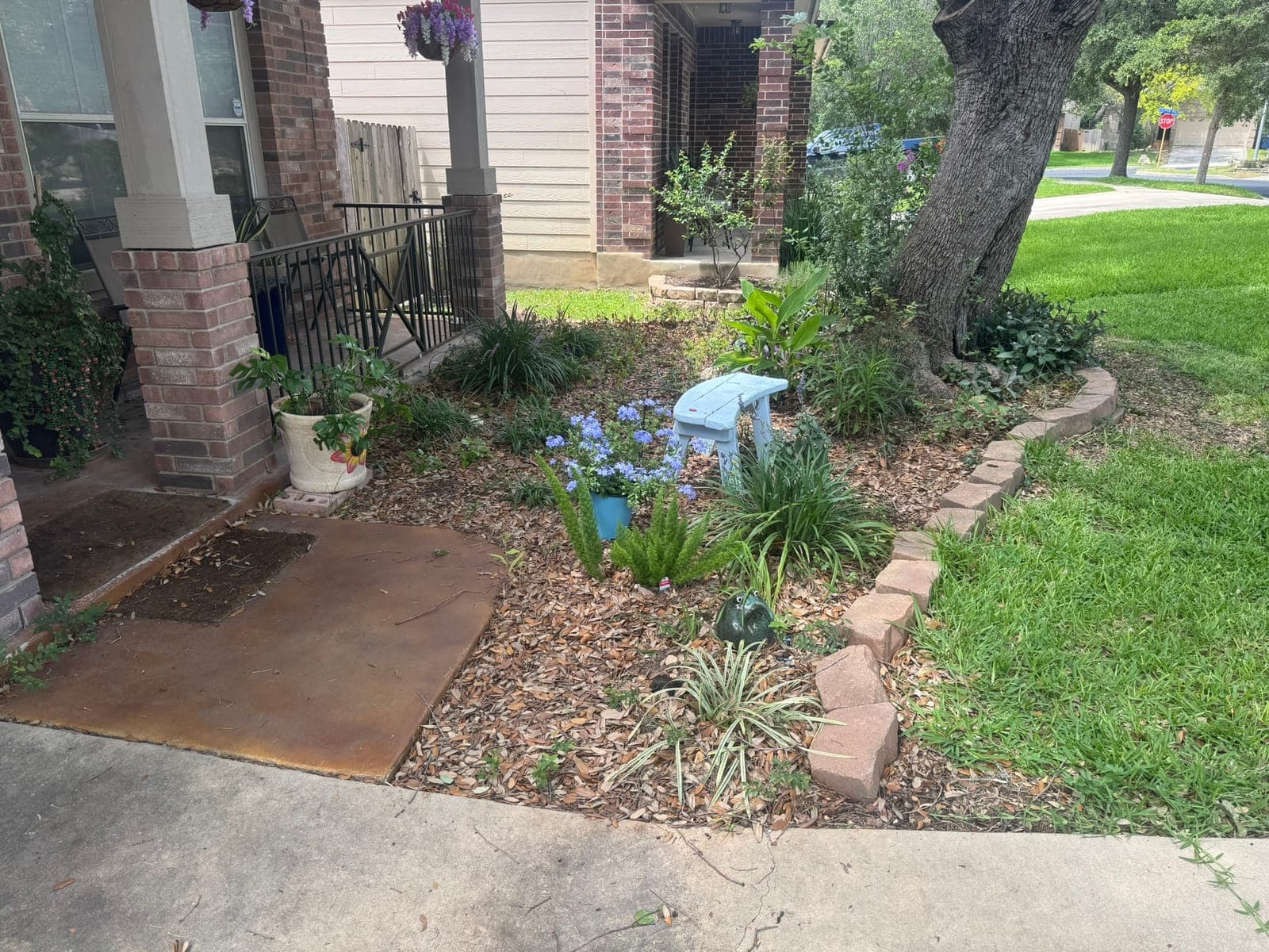Freshly mowed lawn with clean, even stripes