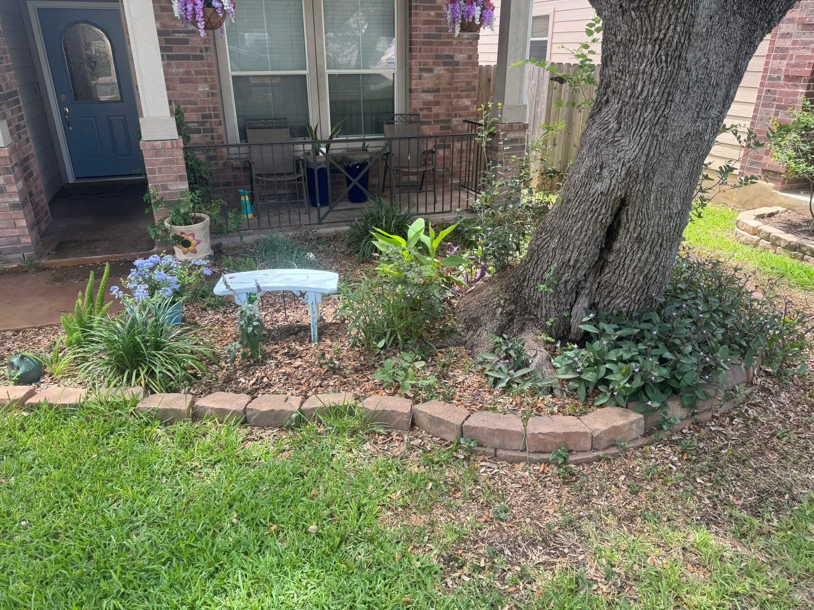 Well-maintained yard with crisp edging and healthy turf